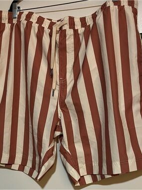 Nordstrom Rust and Cream Striped Athletic Shorts